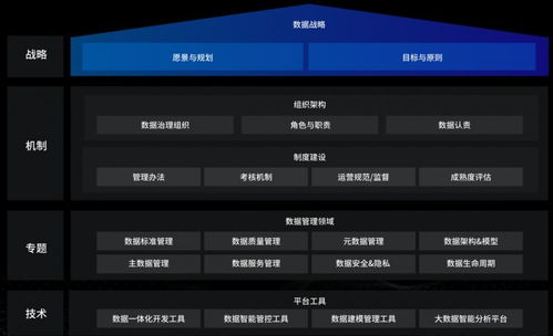 洞见未来，驾驭数据 国内优秀数据治理服务商及软件开发指南