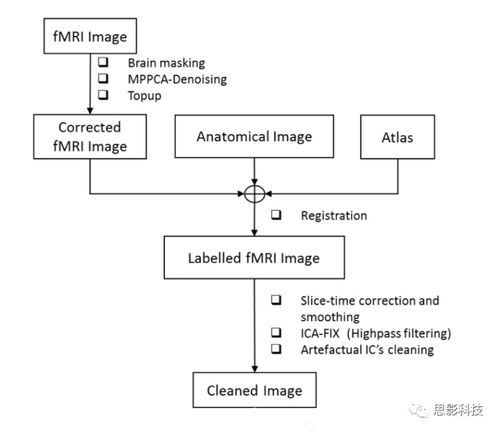 思影科技啮齿类动物神经影像数据处理业务流程图例解析